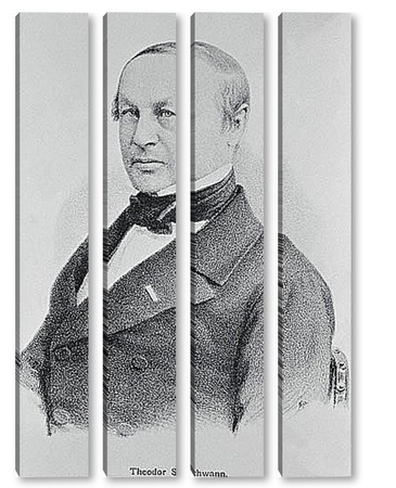 theodor schwann essay Intro to cells an introduction to cells, including the history of their discovery and the development of cell theory google classroom facebook twitter email. theodor schwann essay Intro to cells an introduction to cells, including the history of their discovery and the development of cell theory google classroom facebook twitter email.